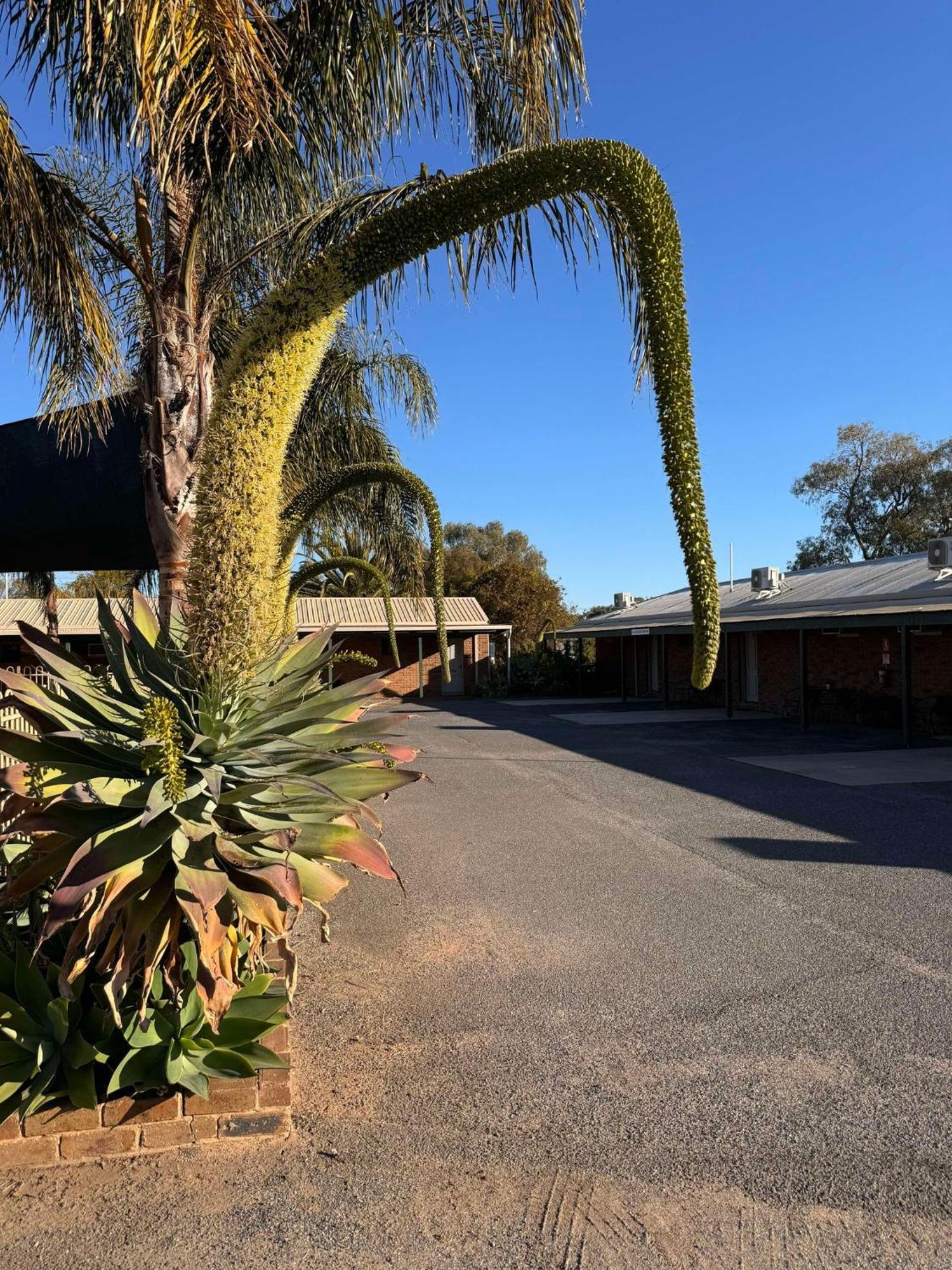Tooleybuc Motel 외부 사진